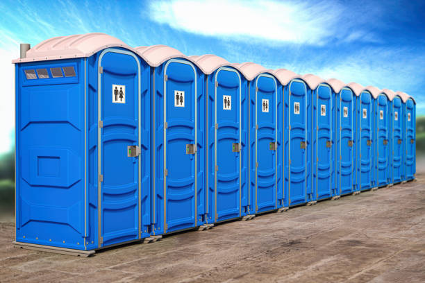 Best Portable Toilets for Parks and Recreation Areas  in Moapa Valley, NV